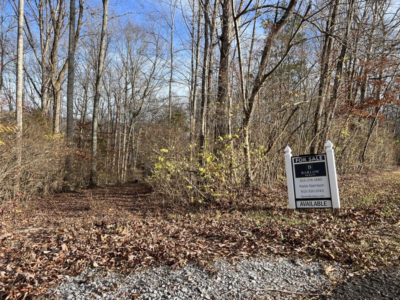 7402 Les Hughes Rd, Fairview, TN 37062