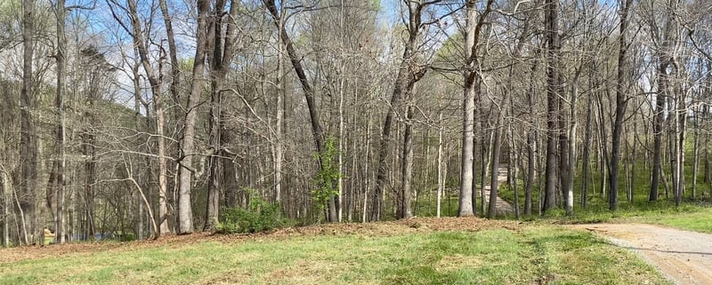 0 Catholic Church Rd, Cedar Hill, TN 37032
