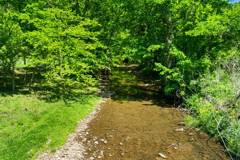 1116 Maxwell Branch Rd, Cottontown, TN 37048