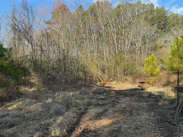 3433 Mount Pleasant Rd Ne, Dalton, GA 30721