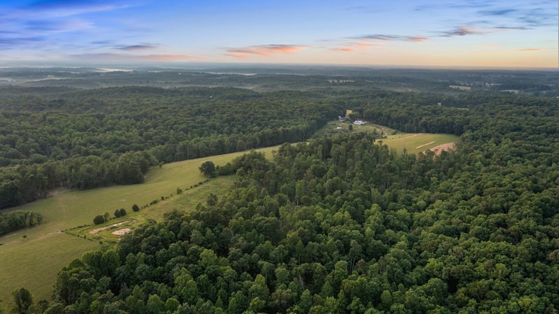 0 Oscar Green Rd, Primm Springs, TN 38476
