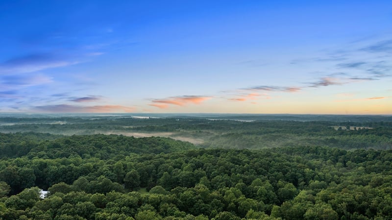 0 Oscar Green Rd, Primm Springs, TN 38476
