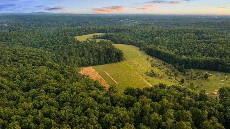 0 Oscar Green Rd, Primm Springs, TN 38476