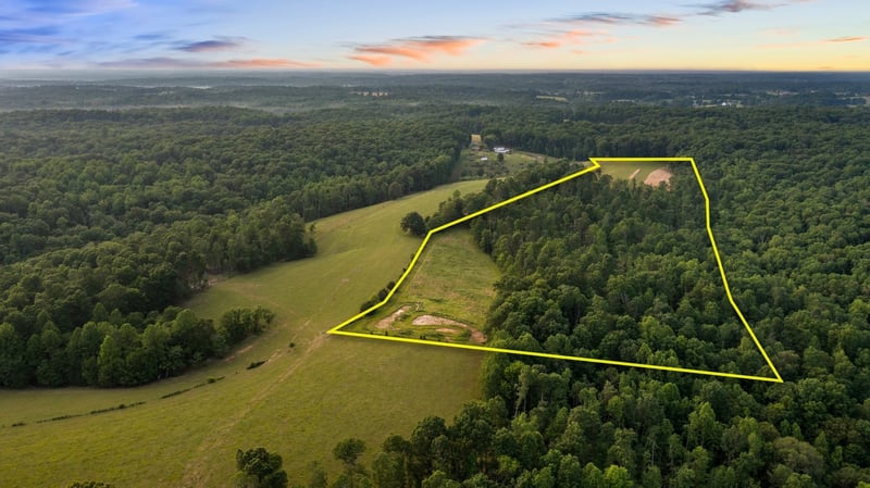 0 Oscar Green Rd, Primm Springs, TN 38476