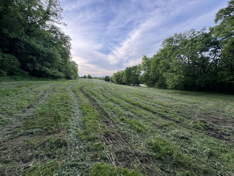 4147 Booker Farm Rd, Mount Pleasant, TN 38474