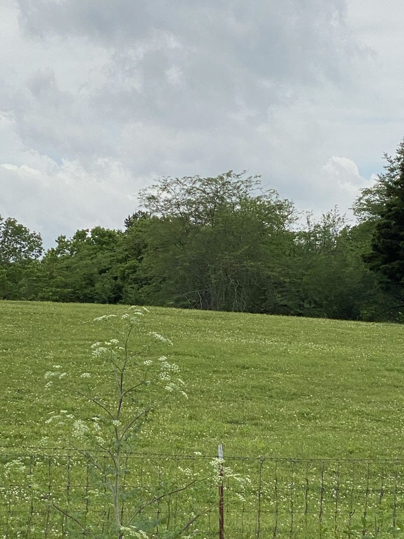 0 Murfreesboro Rd, Franklin, TN 37064