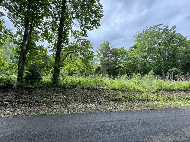 0 By Brown Rd, Charlotte, TN 37036