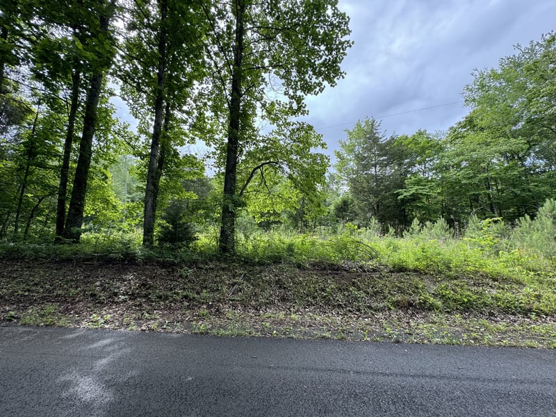 0 By Brown Rd, Charlotte, TN 37036