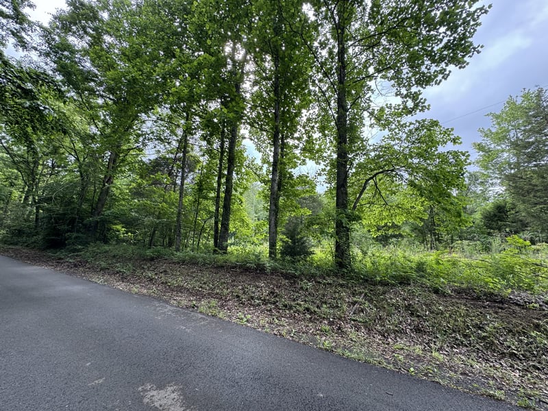 0 By Brown Rd, Charlotte, TN 37036