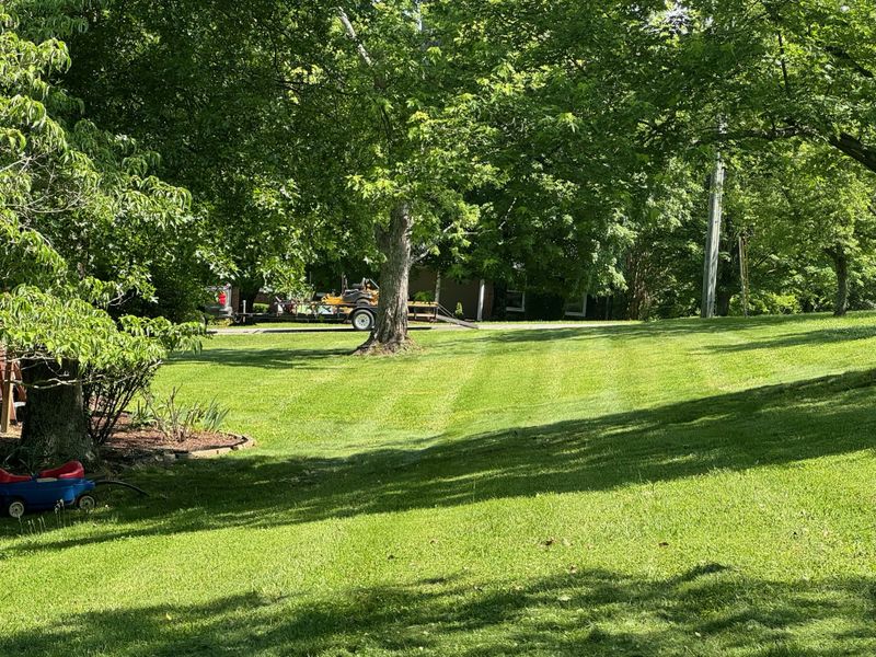 157 Faulkner Ln, Mount Juliet, TN 37122