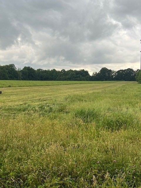 0 Paul Thompson Rd, Bethpage, TN 37022