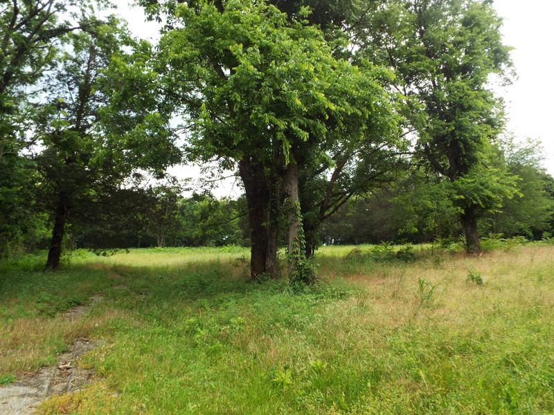 1835 Cainsville Rd, Lebanon, TN 37090