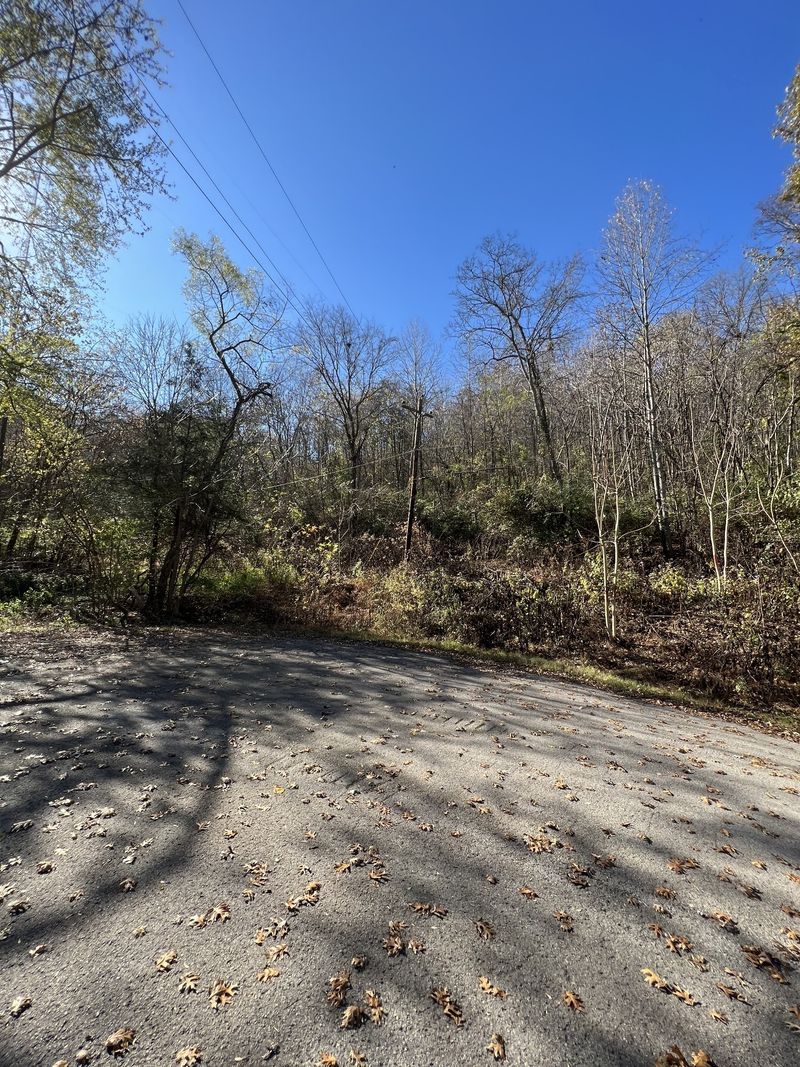 4184 Creek Trail Dr, Whites Creek, TN 37189