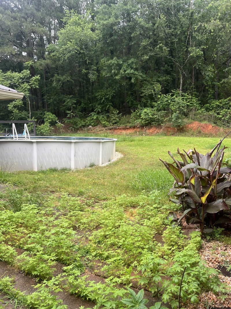 175 Campbell Crescent Cir, Summerville, GA 30747