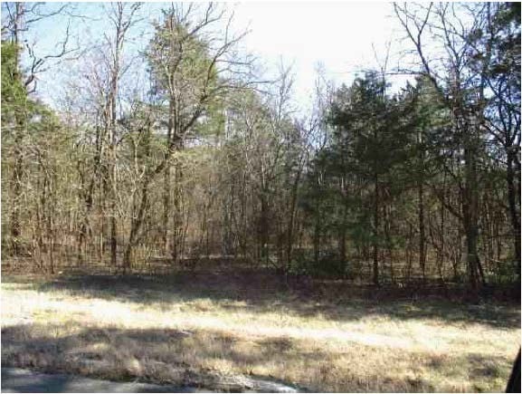 0 Bunker Hill Rd, Rockvale, TN 37153