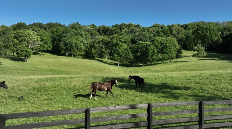 9553 Clovercroft Rd, Franklin, TN 37067