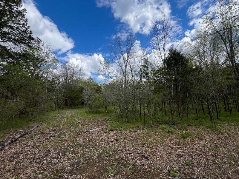 777 Holly Grove Rd, Lascassas, TN 37085