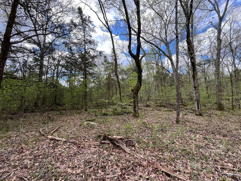 777 Holly Grove Rd, Lascassas, TN 37085