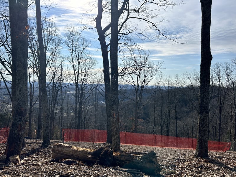 1310 Robert E Lee Ln, Brentwood, TN 37027