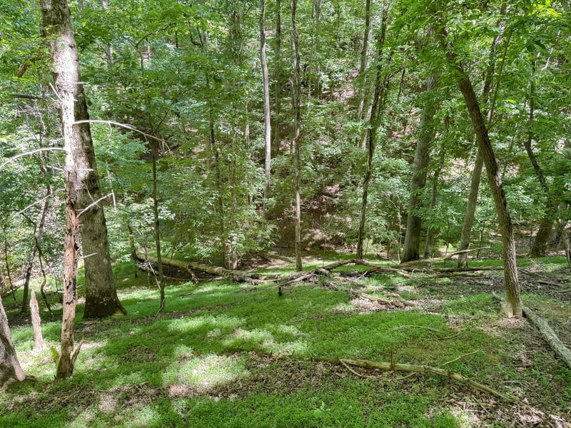 0 Chattle Way, Ellijay, GA 30540