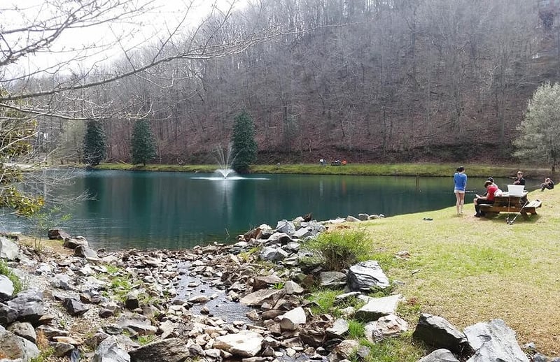 0 Chattle Way, Ellijay, GA 30540