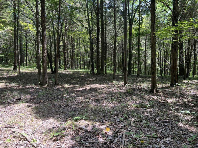 0 Turkey Creek, Dickson, TN 37055