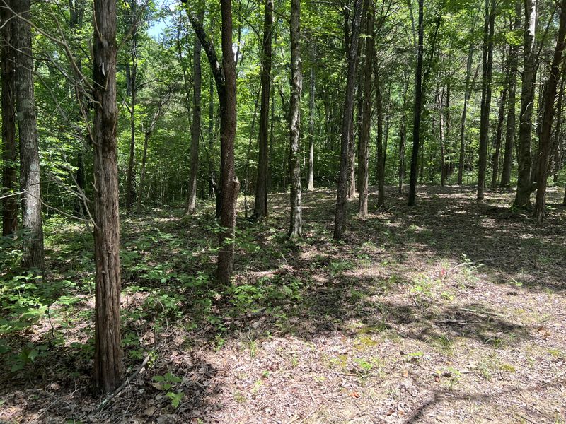 0 Turkey Creek, Dickson, TN 37055