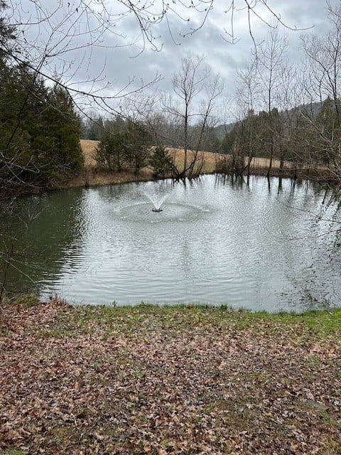 765 Red Tuttle Rd, Bethpage, TN 37022