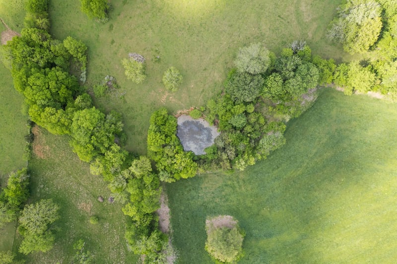 4419 Scott Hollow Rd, Culleoka, TN 38451