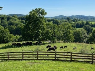 4419 Scott Hollow Rd, Culleoka, TN 38451