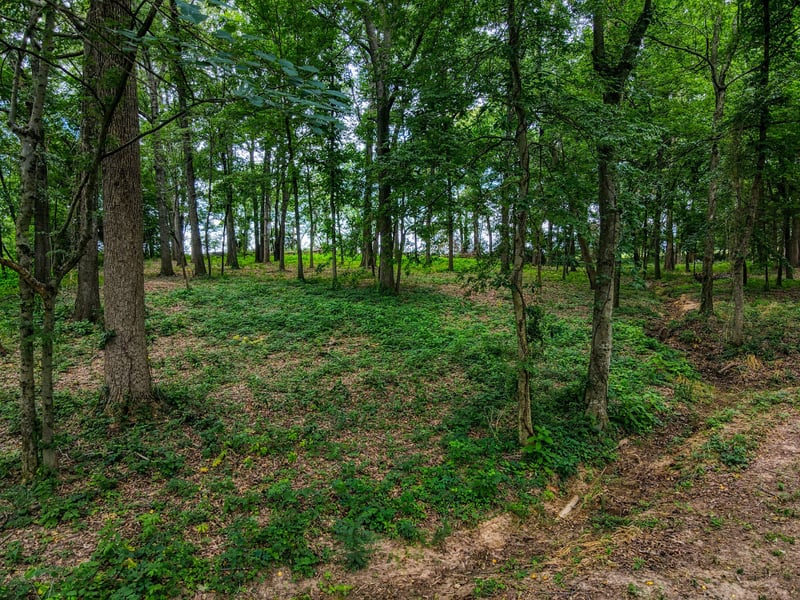 417 Tom Link Rd, Cottontown, TN 37048