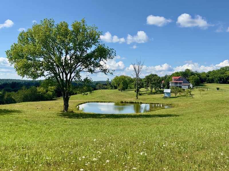 199 Knee Rd, Watertown, TN 37184