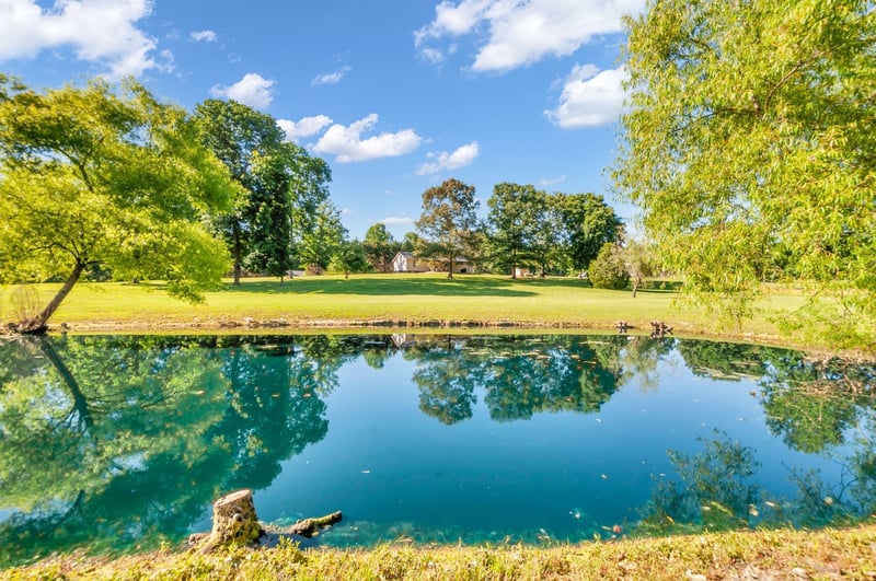 1030 Golden Pond Rd, Chapmansboro, TN 37035