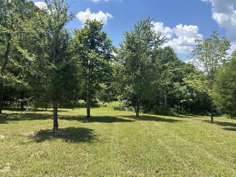 1033 Shelter Branch Rd, Cumberland Furnace, TN 37051