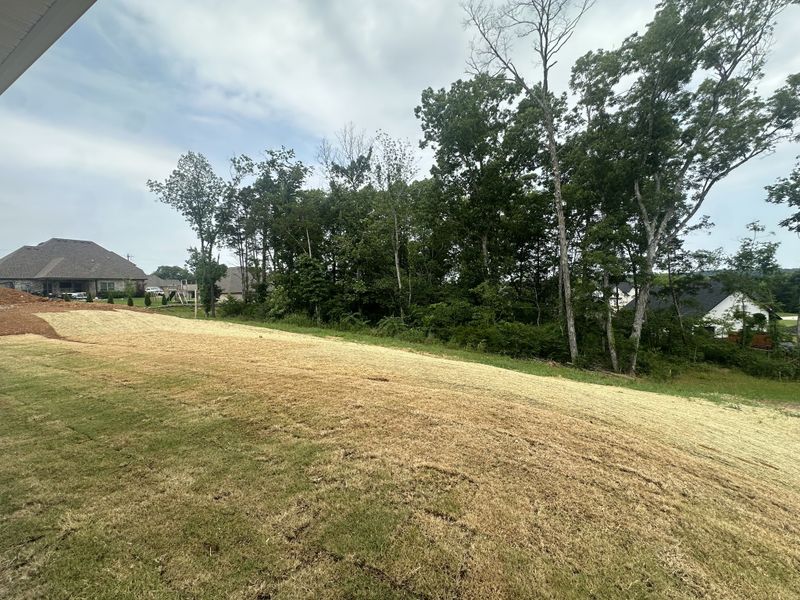 1211 Sycamore Leaf Way, Murfreesboro, TN 37129