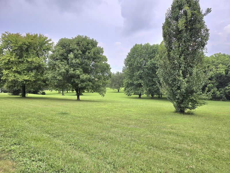 1703 Lost Country Dr, Springfield, TN 37172