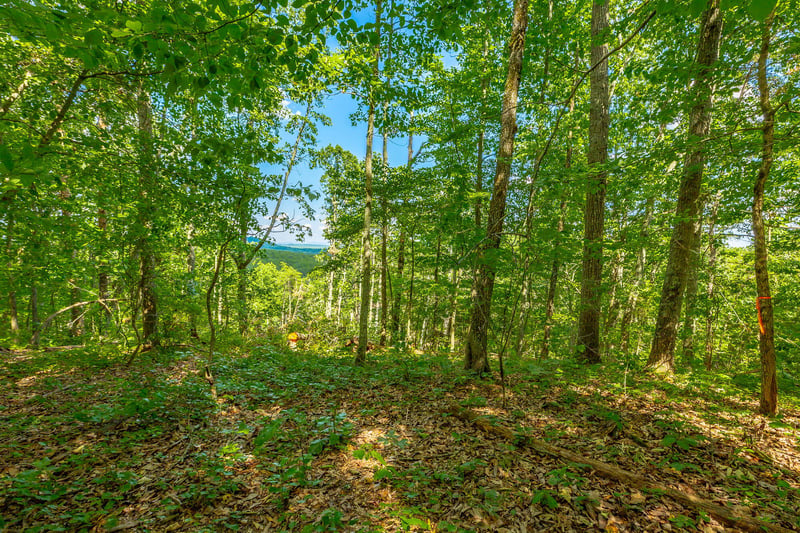 0 Clearview Dr Lot 1, Ringgold, GA 30736