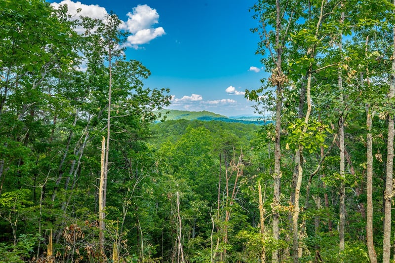 0 Clearview Dr Lot 1, Ringgold, GA 30736