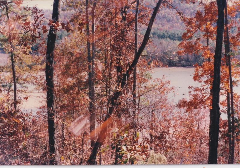 660 County Rd 165, Cedar Bluff, AL 35959