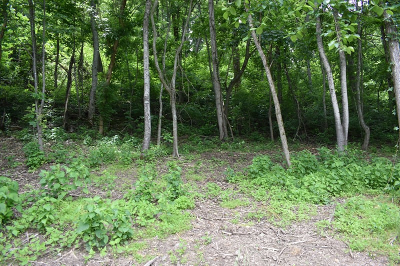 0 Turkey Creek Hwy, Carthage, TN 37030