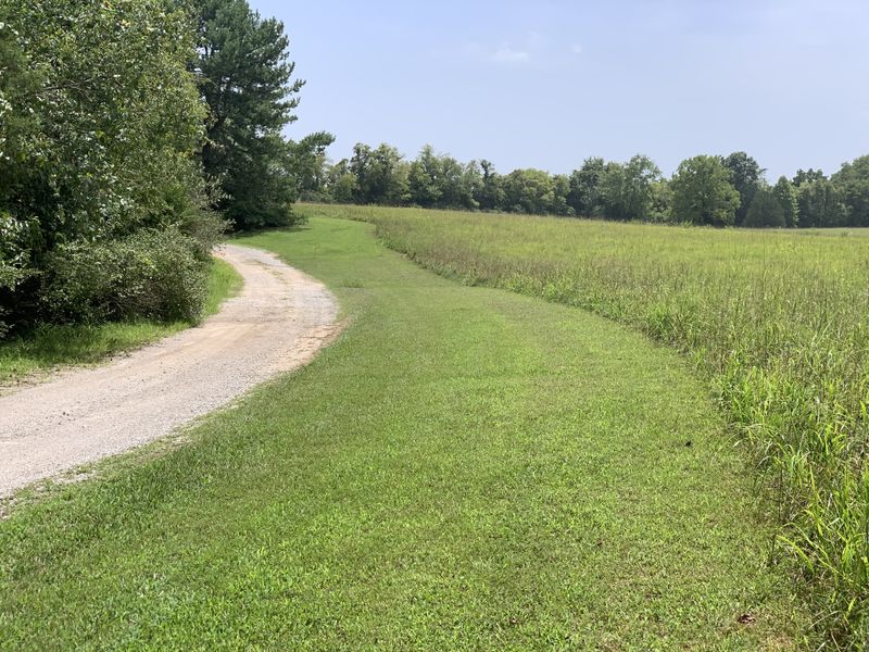 1218 Iron Bridge Rd, Columbia, TN 38401