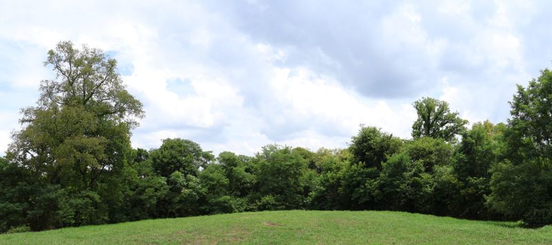 0 Tom Fitzgerald Rd, Columbia, TN 38401
