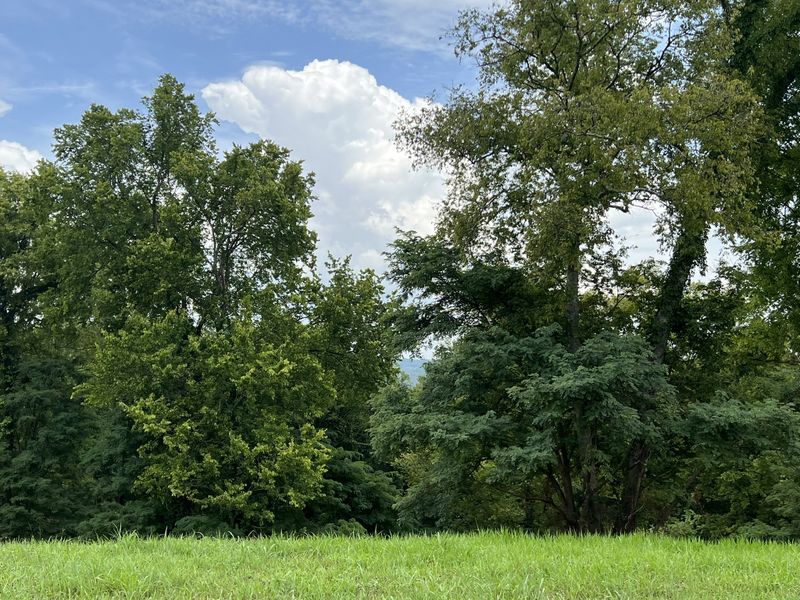 0 Tom Fitzgerald Rd, Columbia, TN 38401