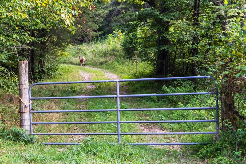0 Skelley Rd, Santa Fe, TN 38482