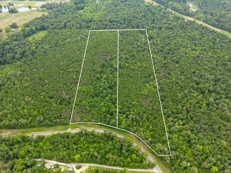 1 County Road 131, Bryant, AL 35958