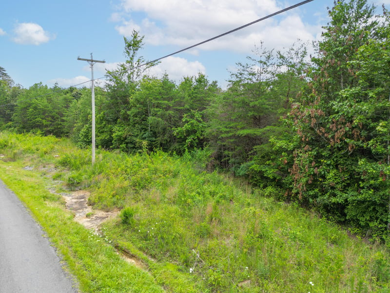 1 County Road 131, Bryant, AL 35958