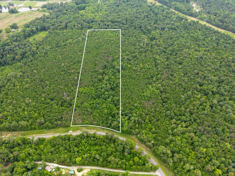 2 County Road 131, Bryant, AL 35958