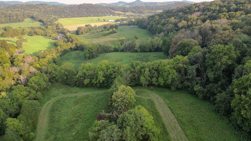 0 John Donald Ln, Brush Creek, TN 38547