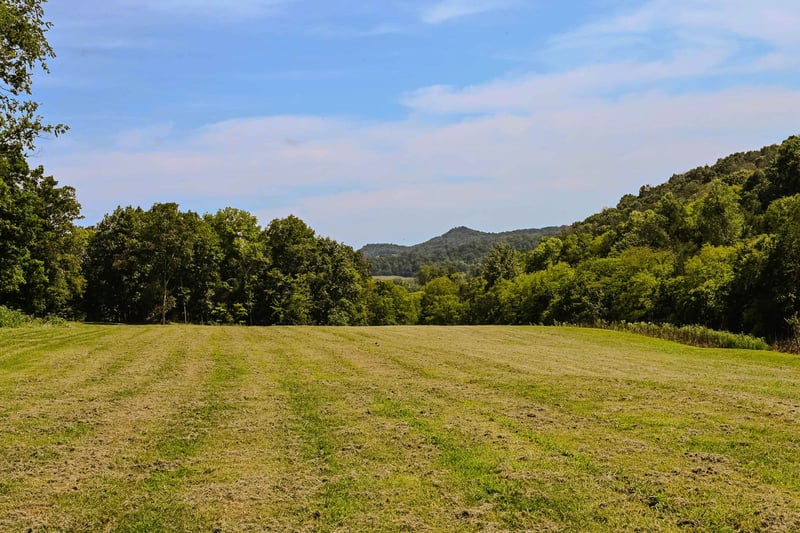 0 John Donald Ln, Brush Creek, TN 38547