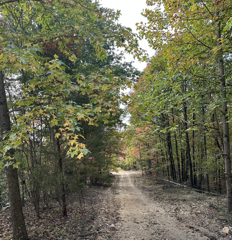 0 Douglas Loop, Gallatin, TN 37066